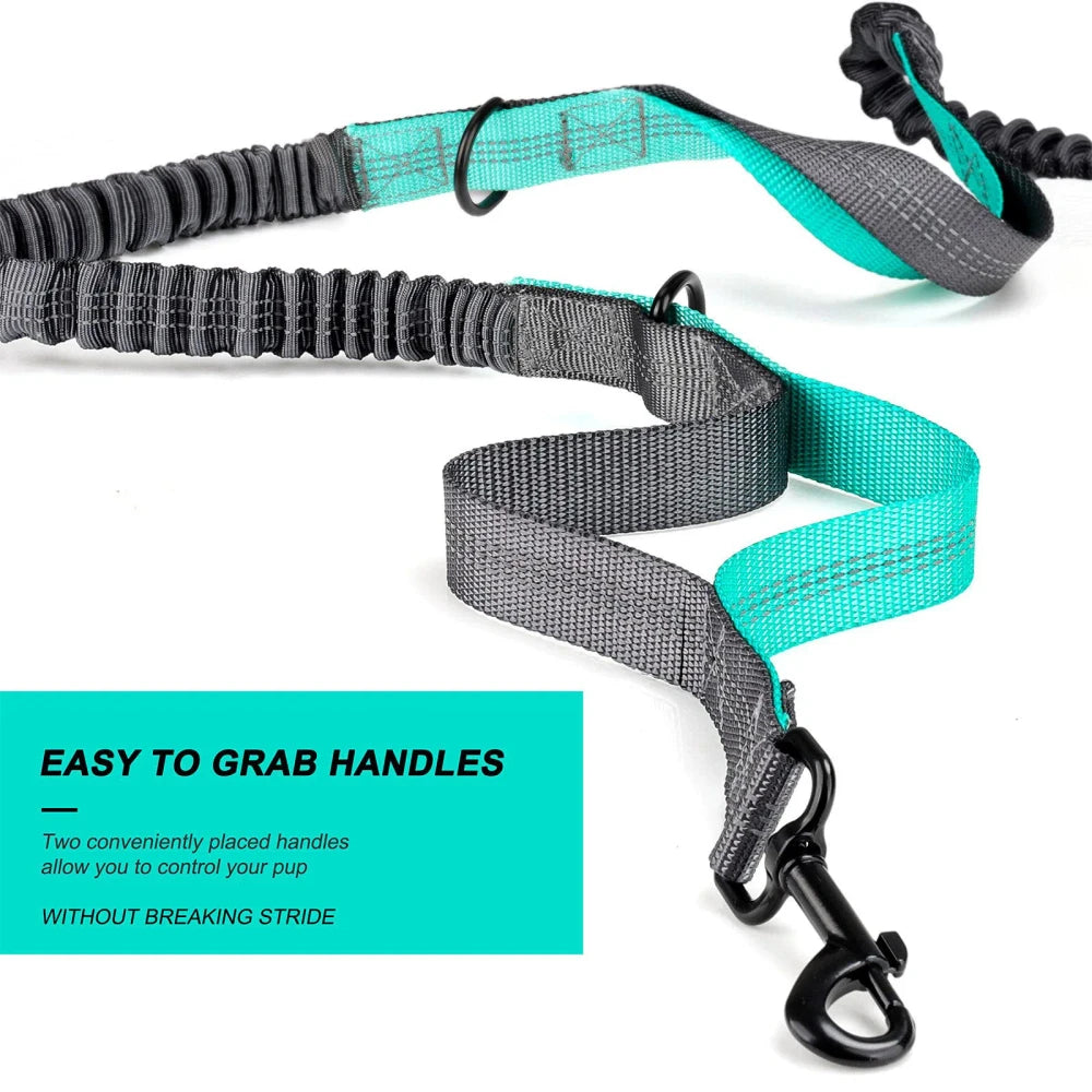 Adjustable Waist Belt Bag Training Pouch with Retractable Hands Free Dog Reflective Stitching Leash for Running Walking Hiking