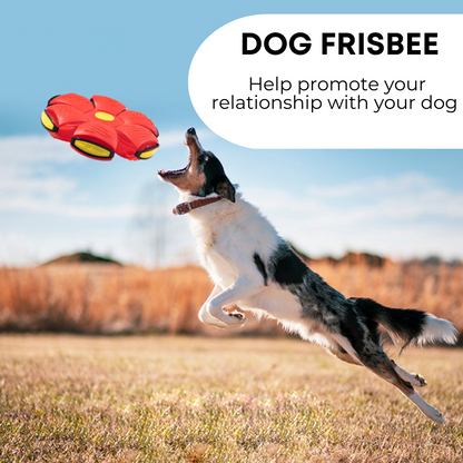 Flying Saucer Bouncing Ball Is A Durable, Elastic and Fun Dog Pet Toy Suitable for Outdoor Activities and Exercise